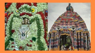 நாகூர் ஸ்ரீ நாகநாத சுவாமி ஆலய தேரோட்டம்.