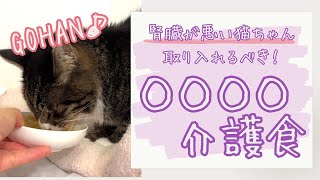 【腎臓病の猫ちゃん必見】取り入れるべき介護食、試してみた！基礎知識と共にお伝えします。