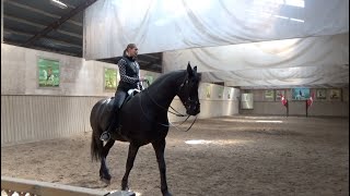 Clinic with Bent Branderup on Zoom, 31.10-01.11 2020, Bettina Biolik