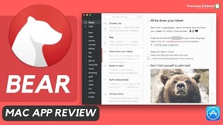Bear MacOS review: What's different?!