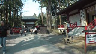 薄墨桜の伊佐須美神社　00036