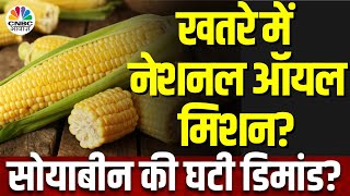 Agri Commodity News | देश में मक्के की बुआई बढ़ने से Soybean की बुआई का हाल बेहाल? | Farmers