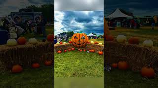 Pumpkin Fest @ Downsview Park