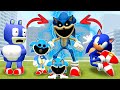 PLAYING AS NEW FORGOTTEN SONIC 3D SANIC CLONES MEMES update in Garry's Mod!