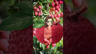 #lychee  #short #trending #viral #amazing