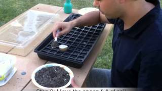 OCTH 505- How to plant a greenbean seed (REVISED)