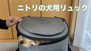 【神コスパ】ニトリの犬用リュックを買ってみた