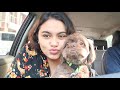 a day with my dog (aman) and chewie