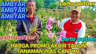 AMBYAR AMBYAR AMBYAR ‼️HARGA PROMO AKHIR TAHUN TANAMAN HIAS CANTIK2