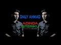 Daily Ahmad | Adinda Isteriku (Official Lyric Video)