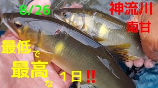 鮎釣り　神流川　南甘　最低で最高の１日‼️