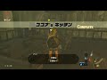 【ゼルダの伝説botw】素っ裸でハイラル救う。♯6 カカリコ村ミニチャレンジ【マスターモード裸縛り】