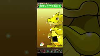 【パズドラ】メモリアルガチャ結果【2024/03/14】