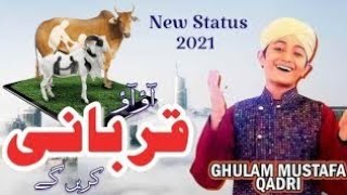 Aao Aaoo Qurbani Karen Gay Ghulam Mustafa Qadri New Status 2021