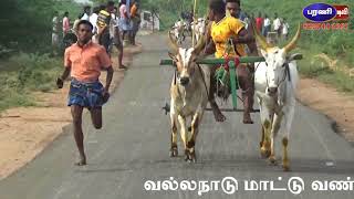 2018 வல்லநாடு சின்ன மாட்டு வண்டி போட்டி - Vallanadu Small Bull Truck