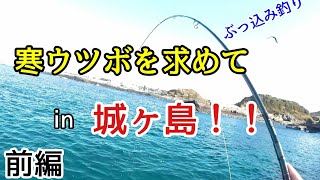 釣行9 寒ウツボを求めて磯釣りへ！城ヶ島でウツボ釣り！