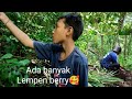 Ep.04 MEMBANGUN PERTANIAN BARU DI PERBUKITAN (Menanam Odot) #agriculture #farming @tanisukiagro