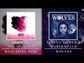 Selena Gomez x Marshmello & Zedd ft. Jon Bellion - Wolves (Mashup)