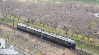 E655系「和」なごみ　団臨　東北本線　船岡～大河原 (2024/04/06)