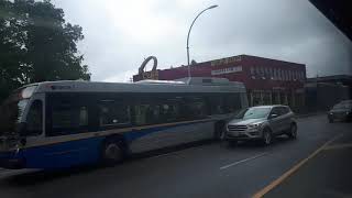 Translink: Route 106