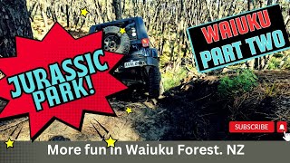 A Day in Waiuku Forest - Part 2 | Jurassic Trees, Fun Challenges, and More!