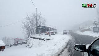 Balade Sous La Neige Sur La Route De Michelet à Tizi-Ouzou … Le 22 Janvier 2023 …