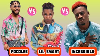 Poco lee vs Lil smart vs Incredible noble 2021 dance challenge, Who is the winner