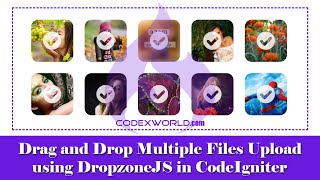 Drag and Drop File Upload in Codeigniter