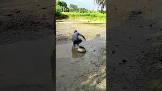 Hand Fishing in Village pond #fishing