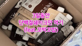 [예뻐보고] 3일동안 단백질쉐이크만 먹기(feat.꼬박꼬밥)