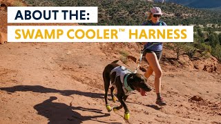 About the Swamp Cooler™ Dog Cooling Harness