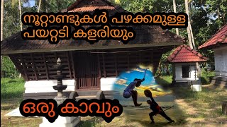 വേക്കോട്‌ അയ്യപ്പൻ കാവും നൂറ്റാണ്ടുകൾ പഴക്കമുള്ള പയറ്റടി കളരിയും