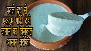 आइसक्रीम जैसी दही | पतले दूध से गाढ़ी दही ज़माने का आसान तरीका | How to make thick curd at home