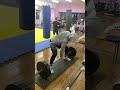 Обезьяний хват тяга одной рукой 100кг sport life excercise gym new imba challenge