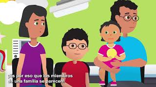 Qué son cromosomas y genes Spanish with Spanish Subtitles