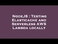 NodeJS : Testing Elasticache and Serverless AWS Lambda locally
