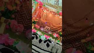 Jai Shri Narayan | Nirjala Ekadashi Kanhaiya Shringar | Jai Shri Kanhaiya lal ki | #VasuMalhotra