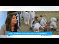 german yazidi filmmaker düzen tekkal i came back a human rights activist dw news