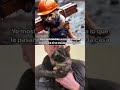 yo mostrÁndole a mi gato lo que le pasaria si se escapa de la casa