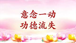 精彩节目录音｜卢台长【节目录音+字幕】意念一动功德流失