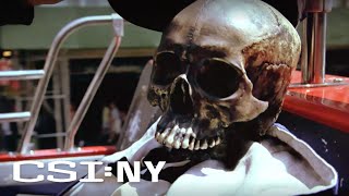 The CSIs Investigate a Skull Found on a NYC Tour Bus