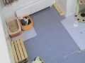 猫砂浴びをする猫