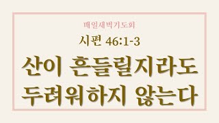 용인신정교회 새벽예배말씀 2024.10.17 [시편 46:1-3] 산이 흔들릴지라도 두려워하지 않는다, 이정행목사