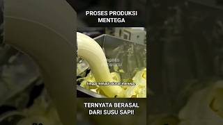 Proses Produksi Mentega Modern | Pabrik Pengolahan Mentega