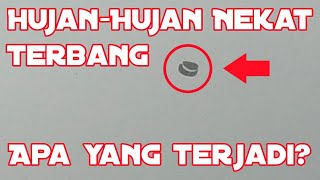 Nekat Hujan-Hujan Terbang || Apa yang Terjadi?