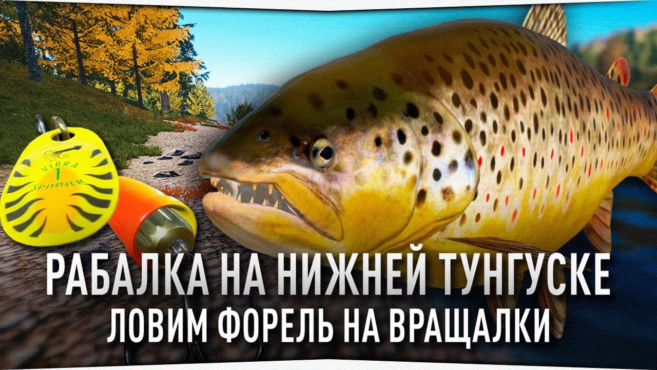 Ловим Форель ручьевую на реке Нижняя Тунгуска • Русская Рыбалка 4