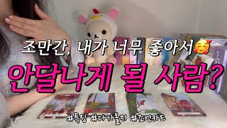 조만간 곧, 내가 너무 좋아서❤️ 안달나게 될 사람?🥰 누구일까?, 언제쯤, 내가 좋은 이유 등 연애 조언카드와 함께 알아보아요.🙏