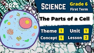 The Parts of a Cell | Grade 6 | Unit 1 - Concept 1 - Lesson 3 | Science