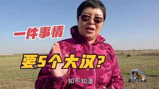 1072 啥东西要出动5个大汉？养狼人对领导做法开嘲，背后原因哭笑不得