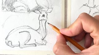 Fast & Slow Drawing Technique (Animal / Gestures)